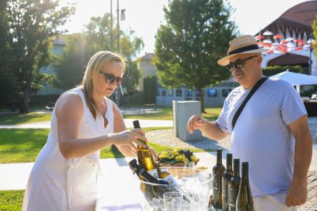 24504X0617 – kopija